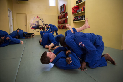 Jiu-jitsu martial arts training