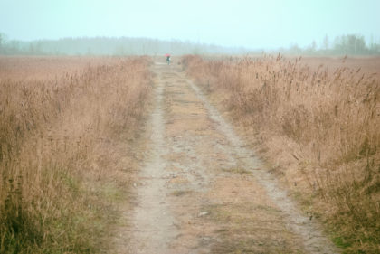 Walking in field http://barnimages.com/