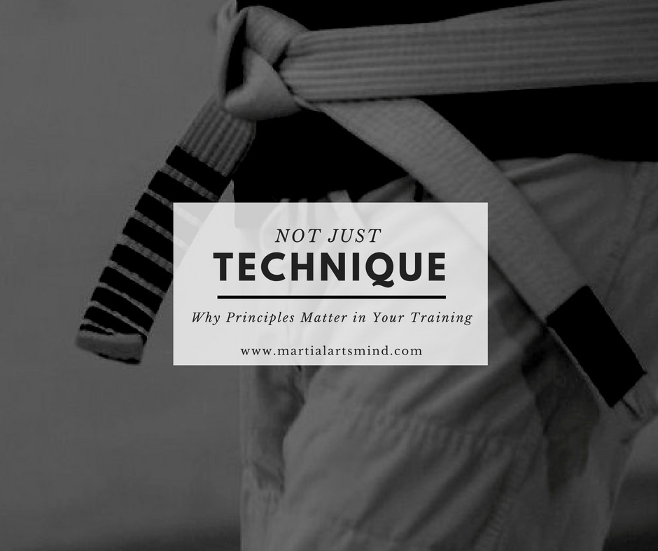 Not Just Technique Martial Arts Mind not-just-technique-martial-arts-mind
